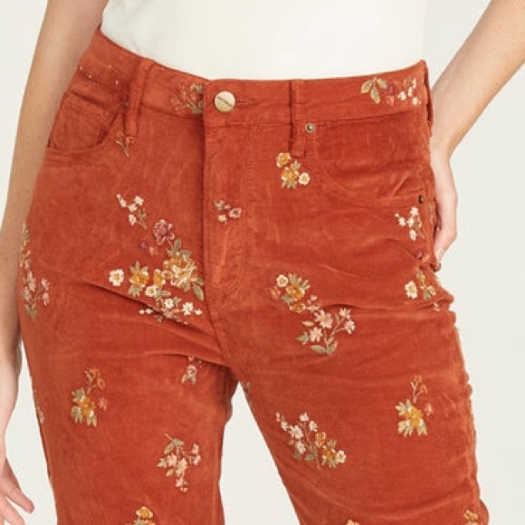 Driftwood | Wyatt Velvet Trouser - Picture 2 of 5